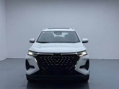 Chery Tiggo 8 PRO 290T Two-Wheel Drive Luxury Edition - ფოტო 2