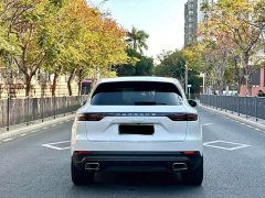 Porsche Cayenne New Energy Cayenne E-Hybrid 2.0T Platinum Edition - ფოტო 8