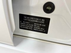 Geely Binrui 1.4T CVT Asian Games Edition - фото 20