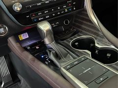 Lexus RX 2021 300 AWD Special Edition - ფოტო 13