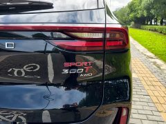 Chery Chitu Lingyun 2023 Lingyun S 300T AWD CCPC Champion Edition - ფოტო 12