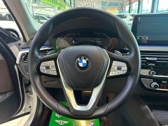 BMW 5 Series Facelift 530Li Premier Luxury Package - ფოტო 12