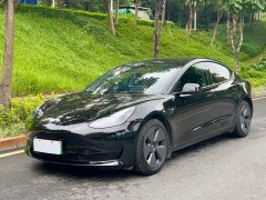 Tesla Model 3 Rear-Wheel Drive - ფოტო 1