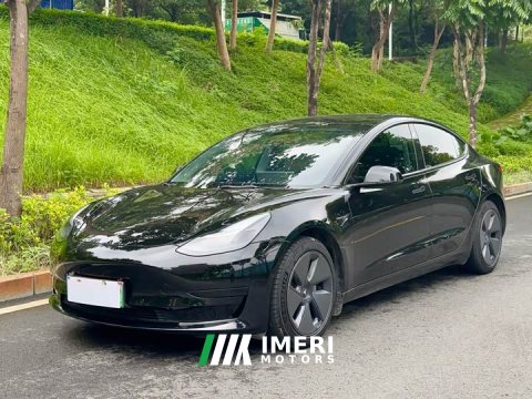 2022 Tesla Model 3 Rear-Wheel Drive - ავტომობილი ჩინეთიდან