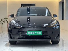 Tesla Model Y Rear-Wheel Drive - ფოტო 2