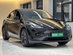 Tesla Model Y Rear-Wheel Drive - ფოტო 4