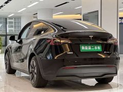 Tesla Model Y Rear-Wheel Drive - ფოტო 5