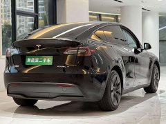 Tesla Model Y Rear-Wheel Drive - ფოტო 8