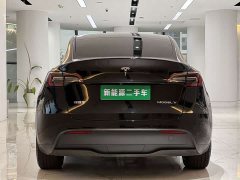 Tesla Model Y Rear-Wheel Drive - ფოტო 9