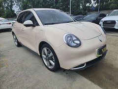 ORA Good Cat 400km Standard Range Muse Edition LFP Battery - ფოტო 3