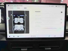 GAC AION Y Plus 510 Smart Leader Edition - ფოტო 13