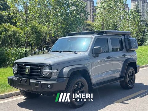 2022 Tank 300 2023 Off-Road Edition 2.0T Conqueror - ავტომობილი ჩინეთიდან