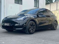 Tesla Model Y 2023 Rear-Wheel Drive - ფოტო 1