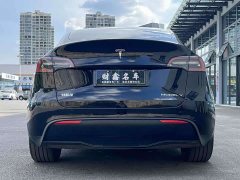 Tesla Model Y 2023 Rear-Wheel Drive - ფოტო 10