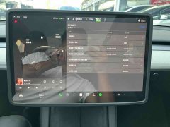 Tesla Model Y 2023 Rear-Wheel Drive - ფოტო 17