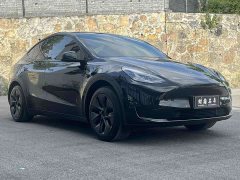 Tesla Model Y 2023 Rear-Wheel Drive - ფოტო 3