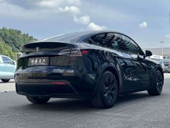 Tesla Model Y 2023 Rear-Wheel Drive - ფოტო 9