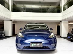 Tesla Model Y Performance All-Wheel Drive - ფოტო 1