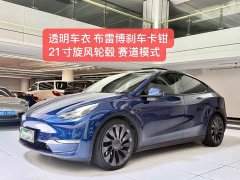 Tesla Model Y Performance All-Wheel Drive - ფოტო 10