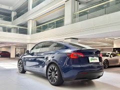 Tesla Model Y Performance All-Wheel Drive - ფოტო 11