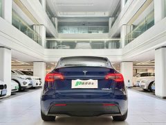 Tesla Model Y Performance All-Wheel Drive - ფოტო 13
