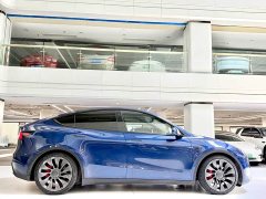 Tesla Model Y Performance All-Wheel Drive - ფოტო 14