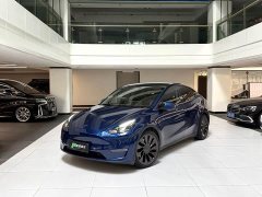 Tesla Model Y Performance All-Wheel Drive - ფოტო 20