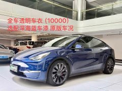 Tesla Model Y Performance All-Wheel Drive - ფოტო 8