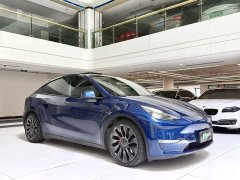 Tesla Model Y Performance All-Wheel Drive - ფოტო 9