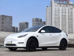 Tesla Model Y Long Range All-Wheel Drive - ფოტო 1