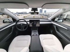 Tesla Model Y Long Range All-Wheel Drive - ფოტო 12