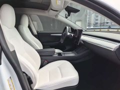 Tesla Model Y Long Range All-Wheel Drive - ფოტო 13