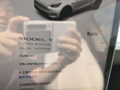 Tesla Model Y Long Range All-Wheel Drive - ფოტო 15