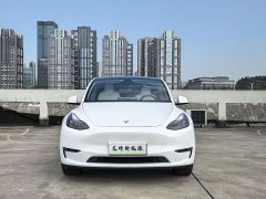Tesla Model Y Long Range All-Wheel Drive - ფოტო 2
