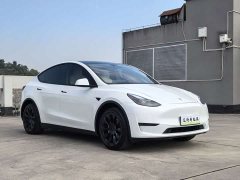 Tesla Model Y Long Range All-Wheel Drive - ფოტო 3