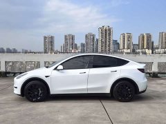 Tesla Model Y Long Range All-Wheel Drive - ფოტო 8