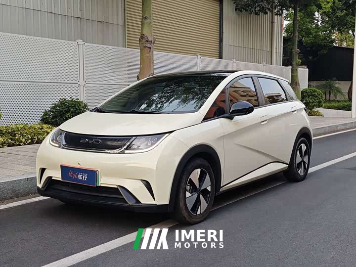 BYD Dolphin 420km Fashion Edition - ავტომობილი ჩინეთიდან