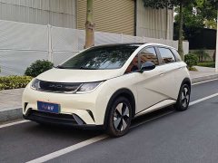 BYD Dolphin 420km Fashion Edition - ფოტო 1