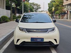 BYD Dolphin 420km Fashion Edition - ფოტო 2