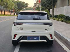 BYD Dolphin 420km Fashion Edition - ფოტო 6