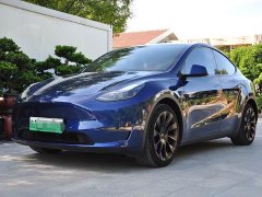 Tesla Model Y Long Range All-Wheel Drive - ფოტო 1