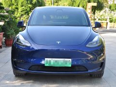 Tesla Model Y Long Range All-Wheel Drive - ფოტო 2