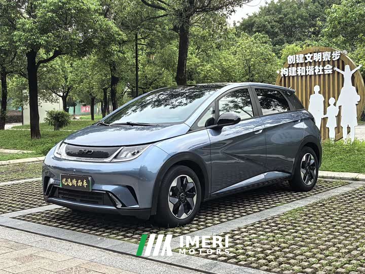 BYD Dolphin Glory Edition 420km Fashion Version