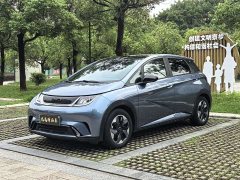 BYD Dolphin Glory Edition 420km Fashion Version - ფოტო 1