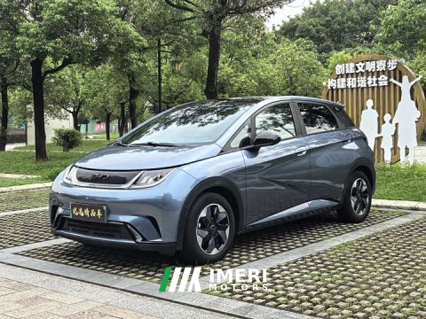 2024 BYD Dolphin Glory Edition 420km Fashion Version - ავტომობილი ჩინეთიდან