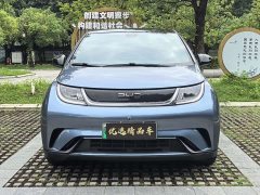 BYD Dolphin Glory Edition 420km Fashion Version - ფოტო 2