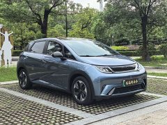 BYD Dolphin Glory Edition 420km Fashion Version - ფოტო 3