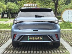 BYD Dolphin Glory Edition 420km Fashion Version - ფოტო 8