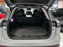 BYD Fengyun T9 120 Long Range Luxury 5-Seater Ternary Lithium - ფოტო 11
