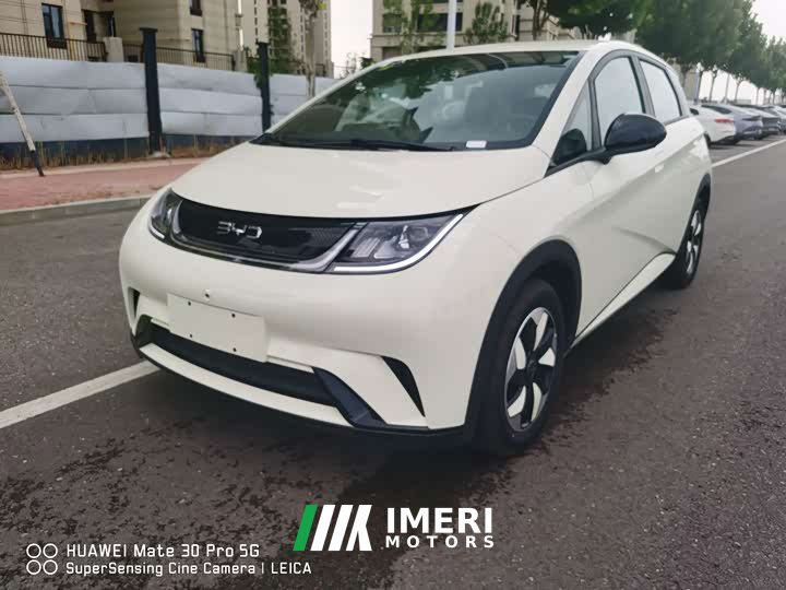 BYD Dolphin 420km Freedom Edition